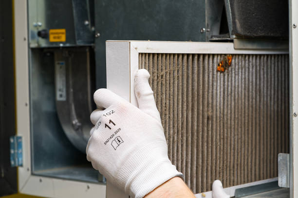 Best Affordable Duct Cleaning Services  in Ivanhoe, TX