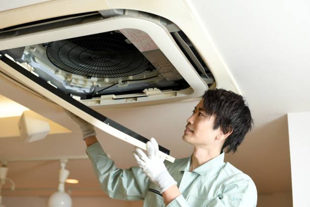 Best Ductwork Cleaning Services  in Ivanhoe, TX
