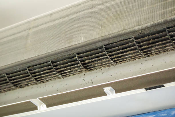 Best HVAC Maintenance and Cleaning  in Ivanhoe, TX
