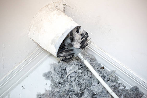 Best Dryer Vent Cleaning Services  in Ivanhoe, TX